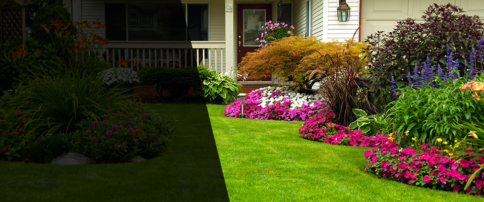 Mystic Landscapers